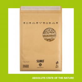 Intelligently sustainable