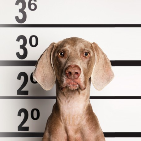 Push dich und uns: Mach deine Ausbildung oder Studium in der Mayer Gruppe 