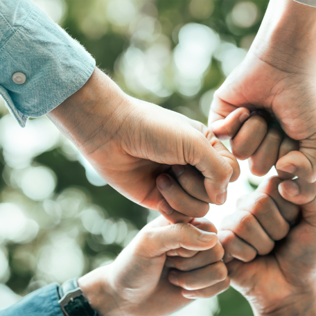 Karriere Mayer-Gruppe